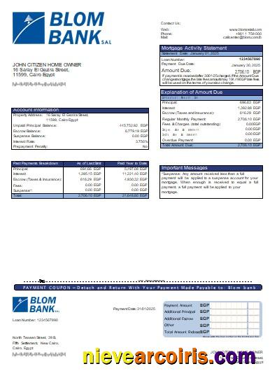 Egypt Blom Bank of Egypt bank mortgage statement